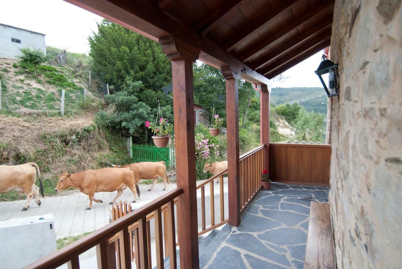 Apartamentos Rurales Tia Vicenta Santa Eulalia de Oscos Exterior photo